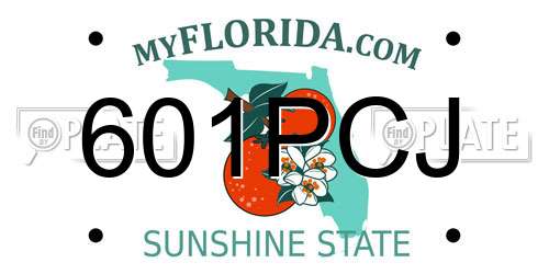 601PCJ Florida License Plate