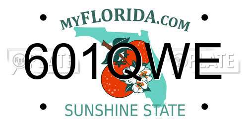 601QWE Florida License Plate