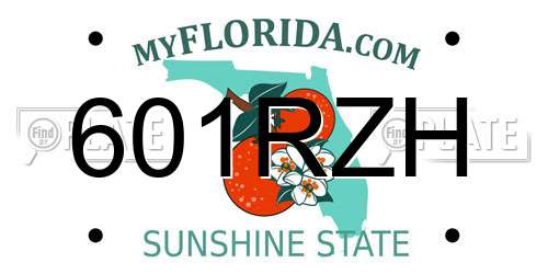 601RZH Florida License Plate