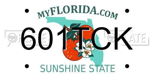 601TCK Florida License Plate