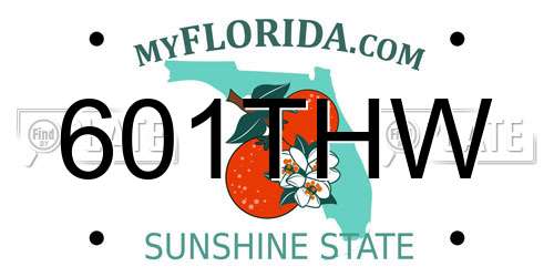 601THW Florida License Plate