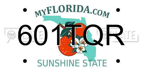 601TQR Florida License Plate