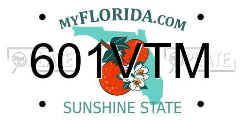 601VTM Florida License Plate