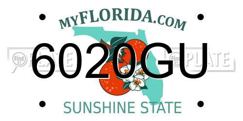 6020GU Florida License Plate