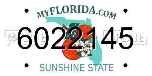 6022145 Florida License Plate