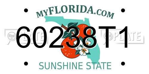 60238T1 Florida License Plate