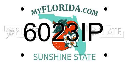6023IP Florida License Plate