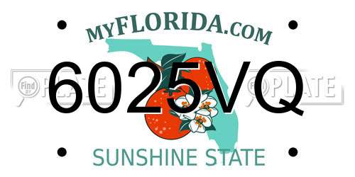 6025VQ Florida License Plate