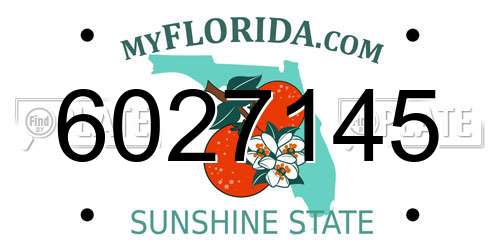 6027145 Florida License Plate