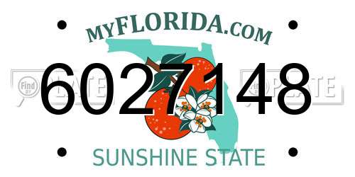 6027148 Florida License Plate