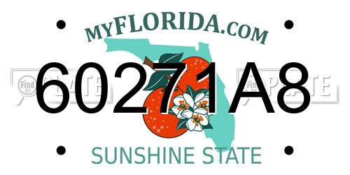 60271A8 Florida License Plate