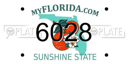 6028 Florida License Plate