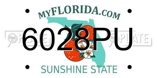 6028PU Florida License Plate