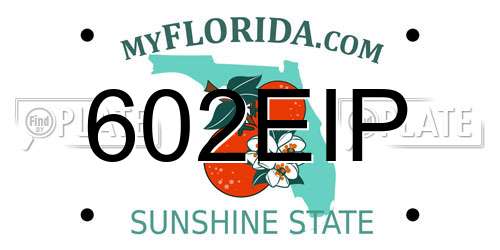 602EIP Florida License Plate