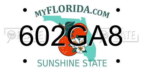 602GA8 Florida License Plate
