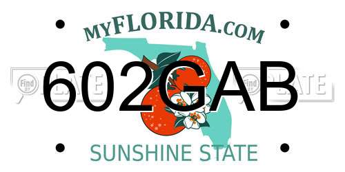 602GAB Florida License Plate