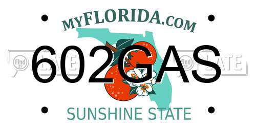 602GAS Florida License Plate