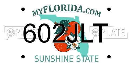 602JLT Florida License Plate