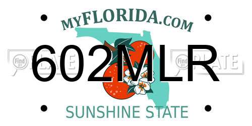 602MLR Florida License Plate