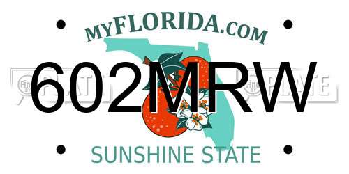 602MRW Florida License Plate