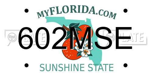 602MSE Florida License Plate