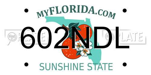 602NDL Florida License Plate
