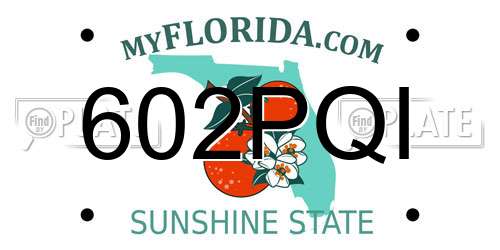 602PQI Florida License Plate