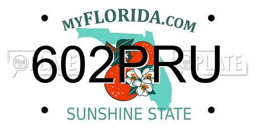 602PRU Florida License Plate