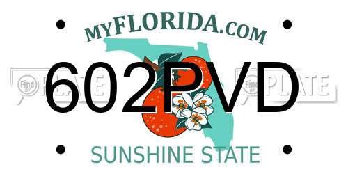 602PVD Florida License Plate