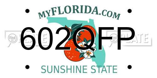602QFP Florida License Plate