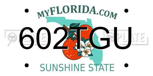 602TGU Florida License Plate
