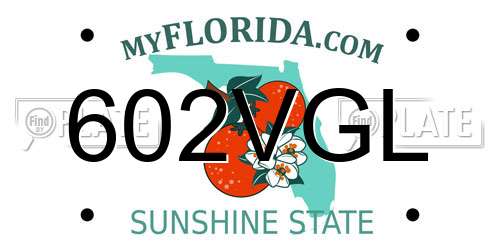 602VGL Florida License Plate