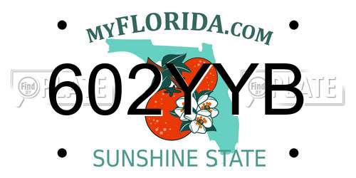 602YYB Florida License Plate