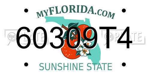 60309T4 Florida License Plate