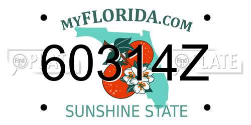 60314Z Florida License Plate