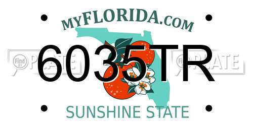 6035TR Florida License Plate