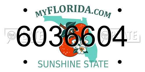 6036604 Florida License Plate