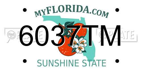 6037TM Florida License Plate