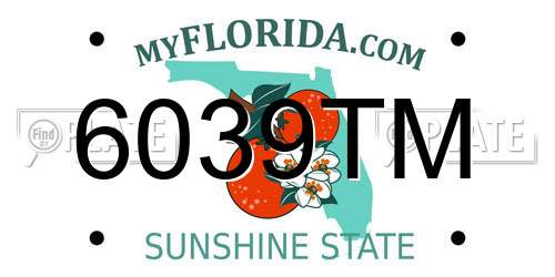 6039TM Florida License Plate