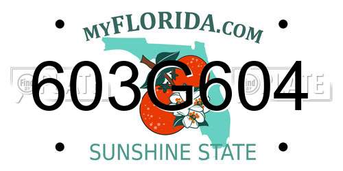 603G604 Florida License Plate
