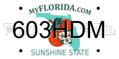 603HDM Florida License Plate