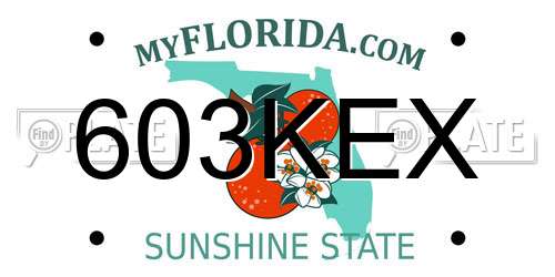 603KEX Florida License Plate