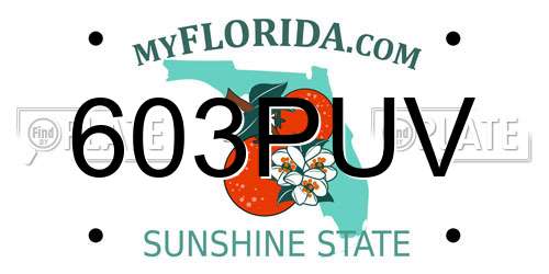 603PUV Florida License Plate
