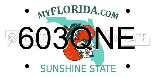 603QNE Florida License Plate