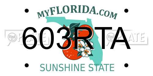 603RTA Florida License Plate