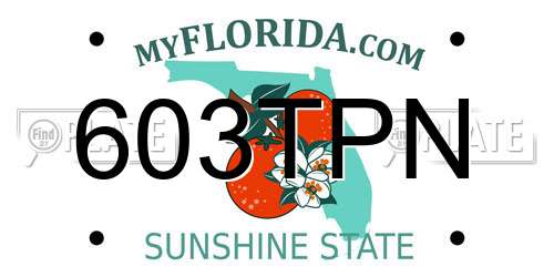 603TPN Florida License Plate