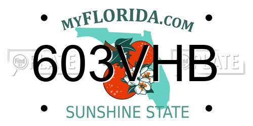 603VHB Florida License Plate