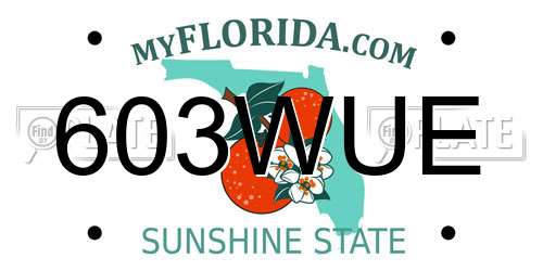 603WUE Florida License Plate