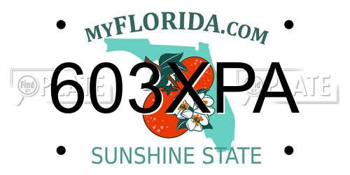 603XPA Florida License Plate