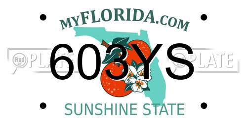 603YS Florida License Plate